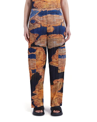 Perks and Mini (P.A.M.) | Nu World Pleated Pant Aerial View AOP - Concrete